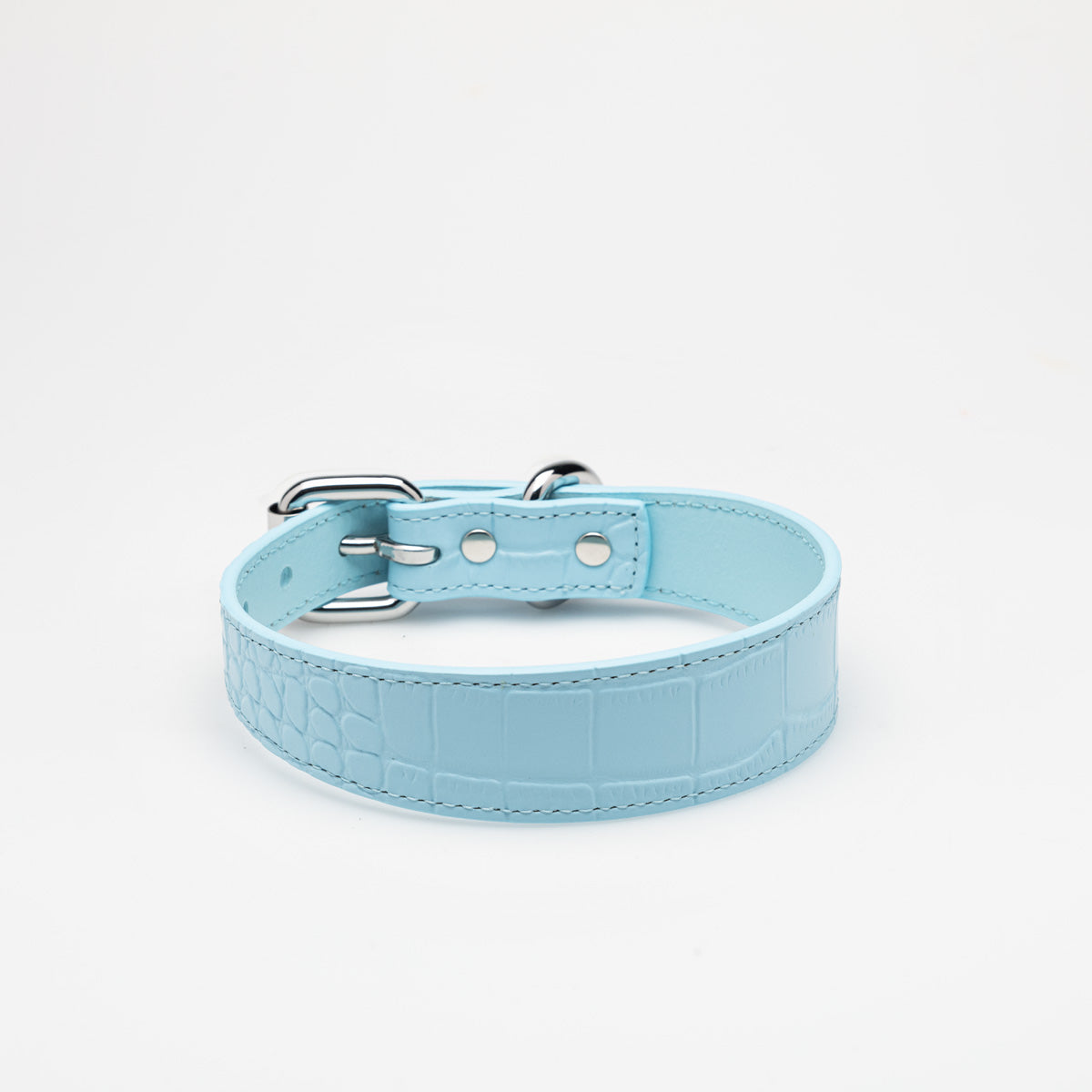 Collare per Cane Sottile Baby Blue Croco