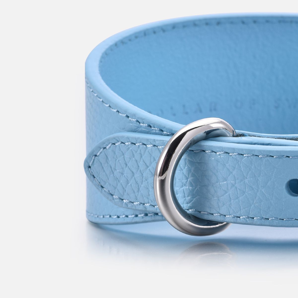 Collare Largo per Cani Baby Blue