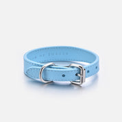 Collare per Cani Sottile Azzurro Pastello