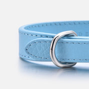 Collare per Cani Sottile Azzurro Pastello