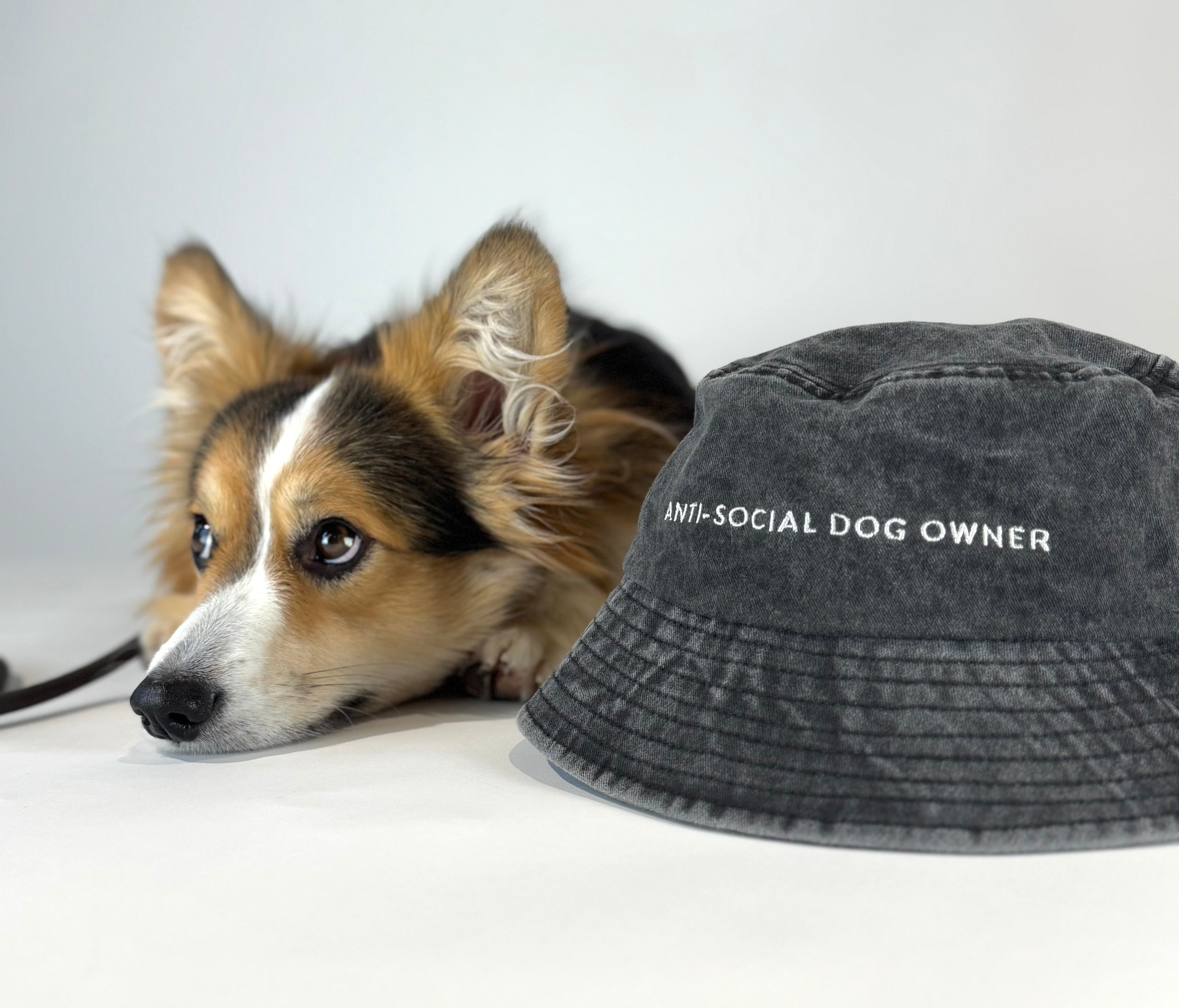 Cappello a secchiello in denim nero  - Anti-Social Dog Owner