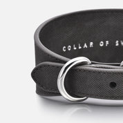 Collare per cani in denim nero largo