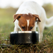 Ciotola per Cani Nera