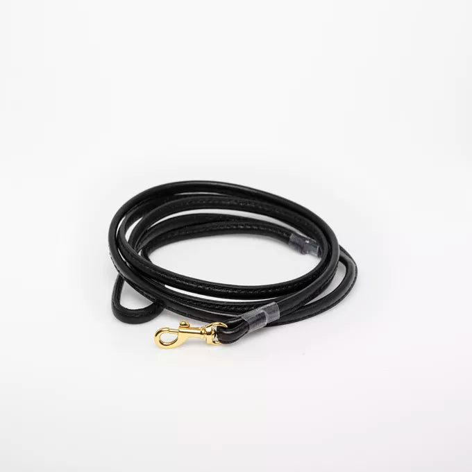 Guinzaglio Nero per Cani