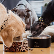 Ciotola per Cani Nera