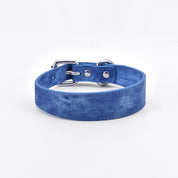 Collare per Cani in Denim Blu Sottile