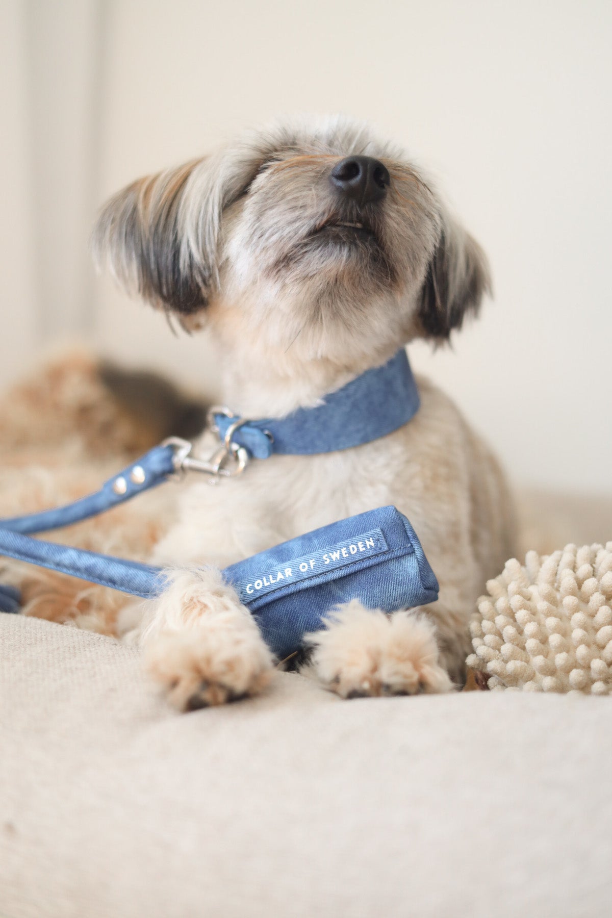 Portasacchetti per Escrementi in Denim Blu