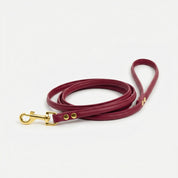 Guinzaglio per Cane Bordeaux