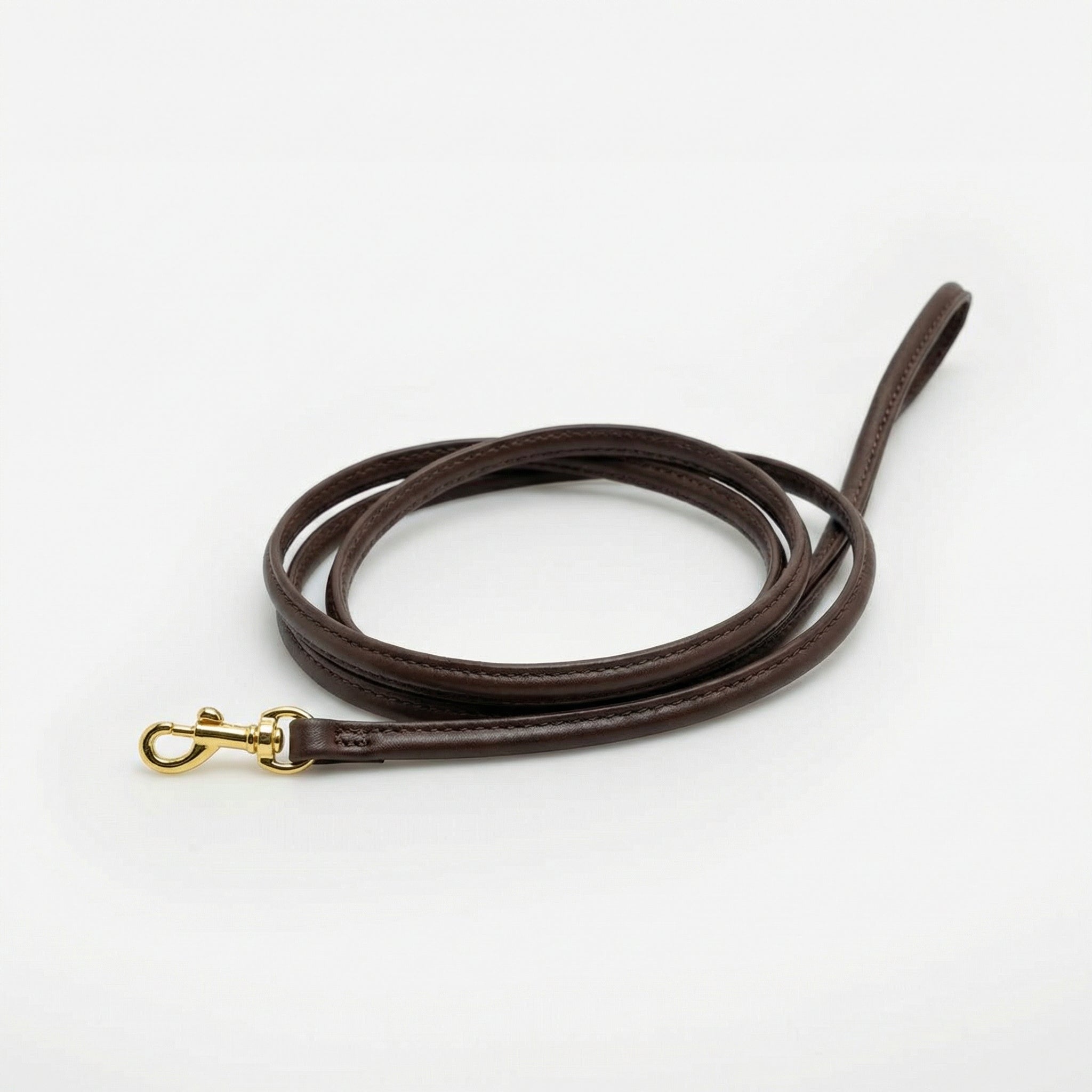 coffee-brown-dog-lead-small-gold.jpg