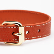 Collare per Cani Sottile Cognac