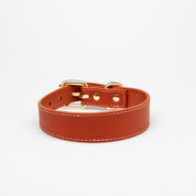 Collare per Cani Sottile Cognac