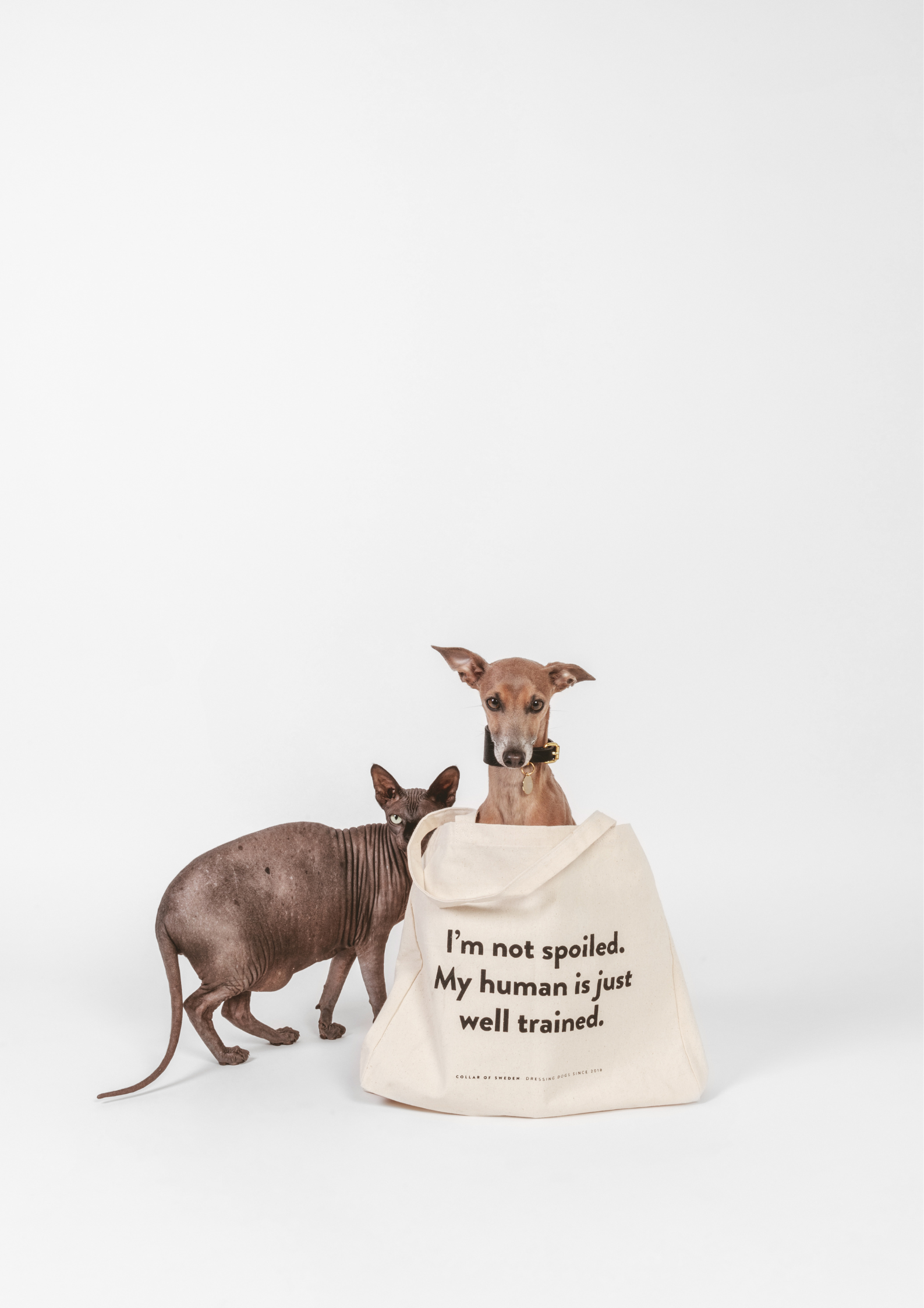 Borsa Tote XL CoS