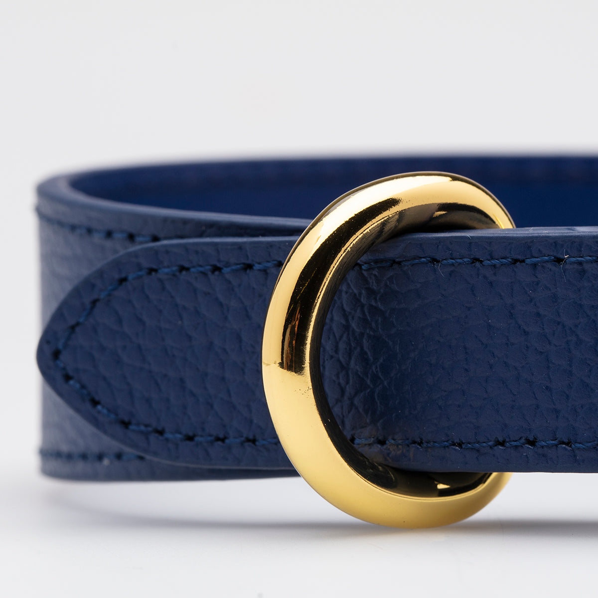 Collare per Cani Sottile Blu Scuro