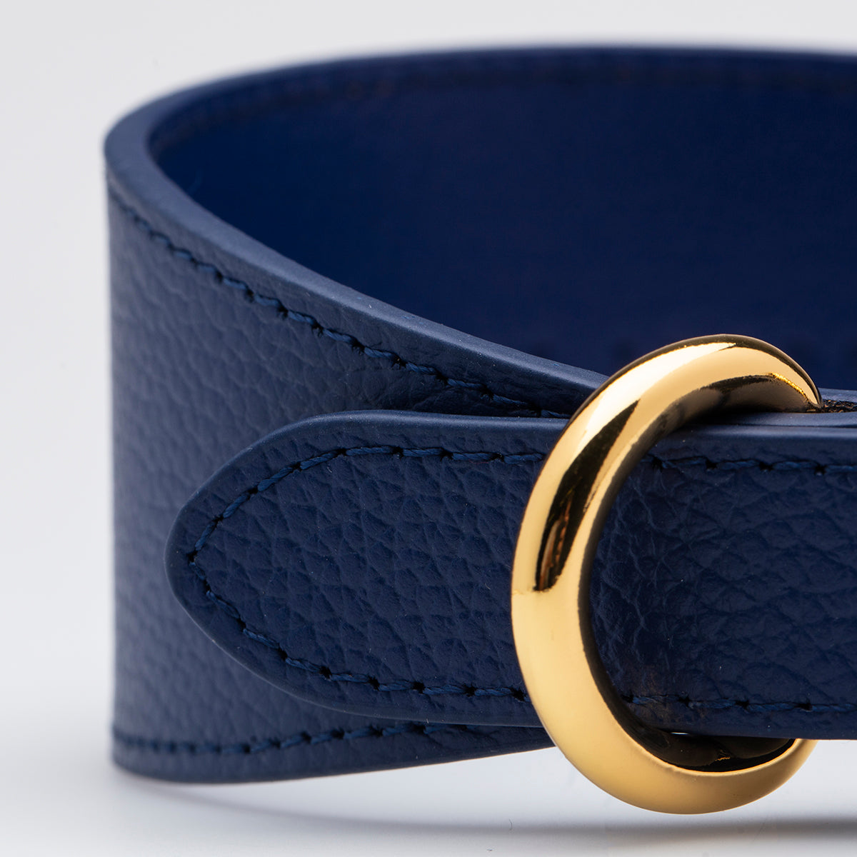 Collare per Cani Larghezza Blu Scuro
