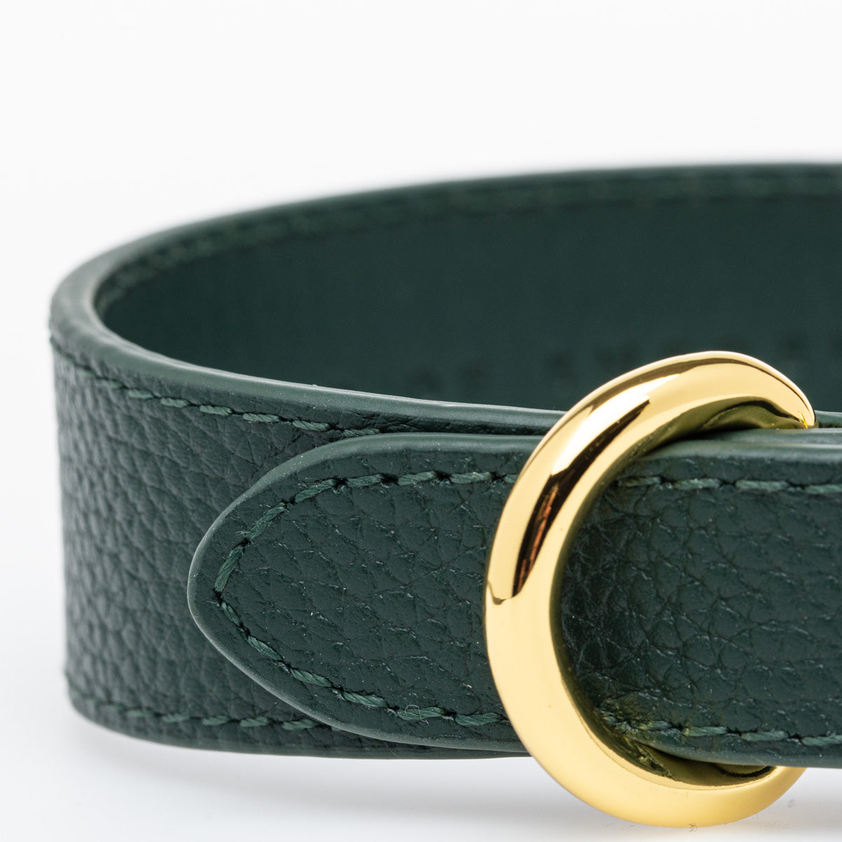 Collare per Cani Verde Scuro Sottile