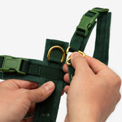 Imbracatura a Y Verde Scuro XS