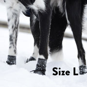 Calzini per Cani - Confezione da 4