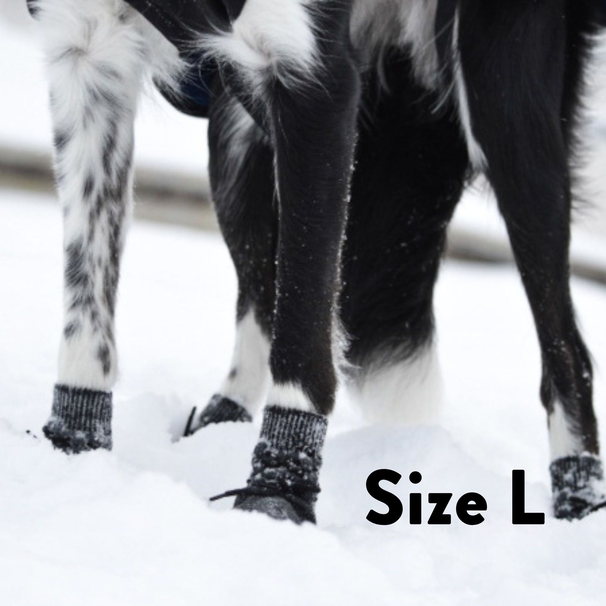 Calzini per Cani - Confezione da 4