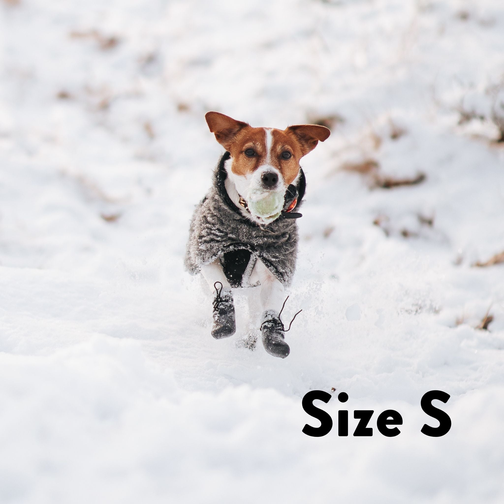 Calzini per Cani - Confezione da 4