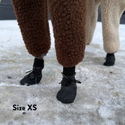 Calzini per Cani - Confezione da 4