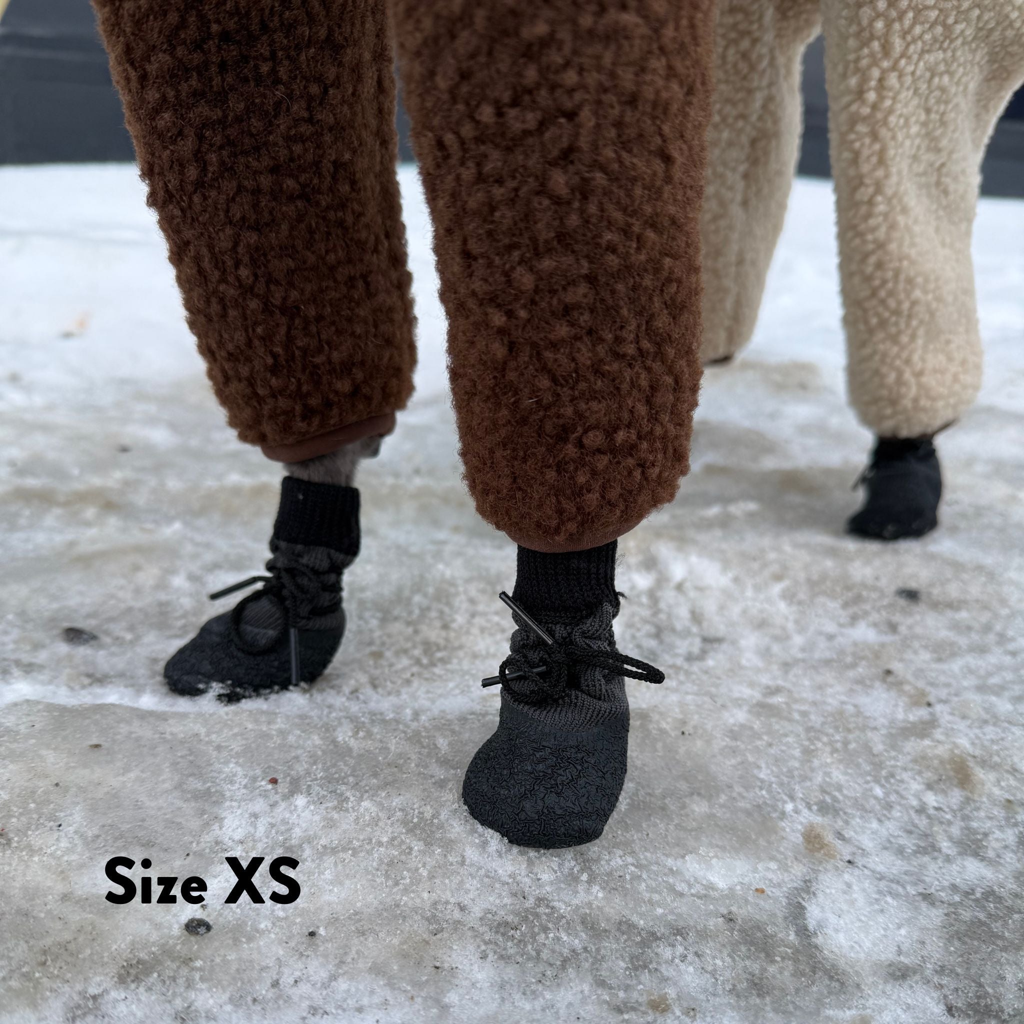 Calzini per Cani - Confezione da 4