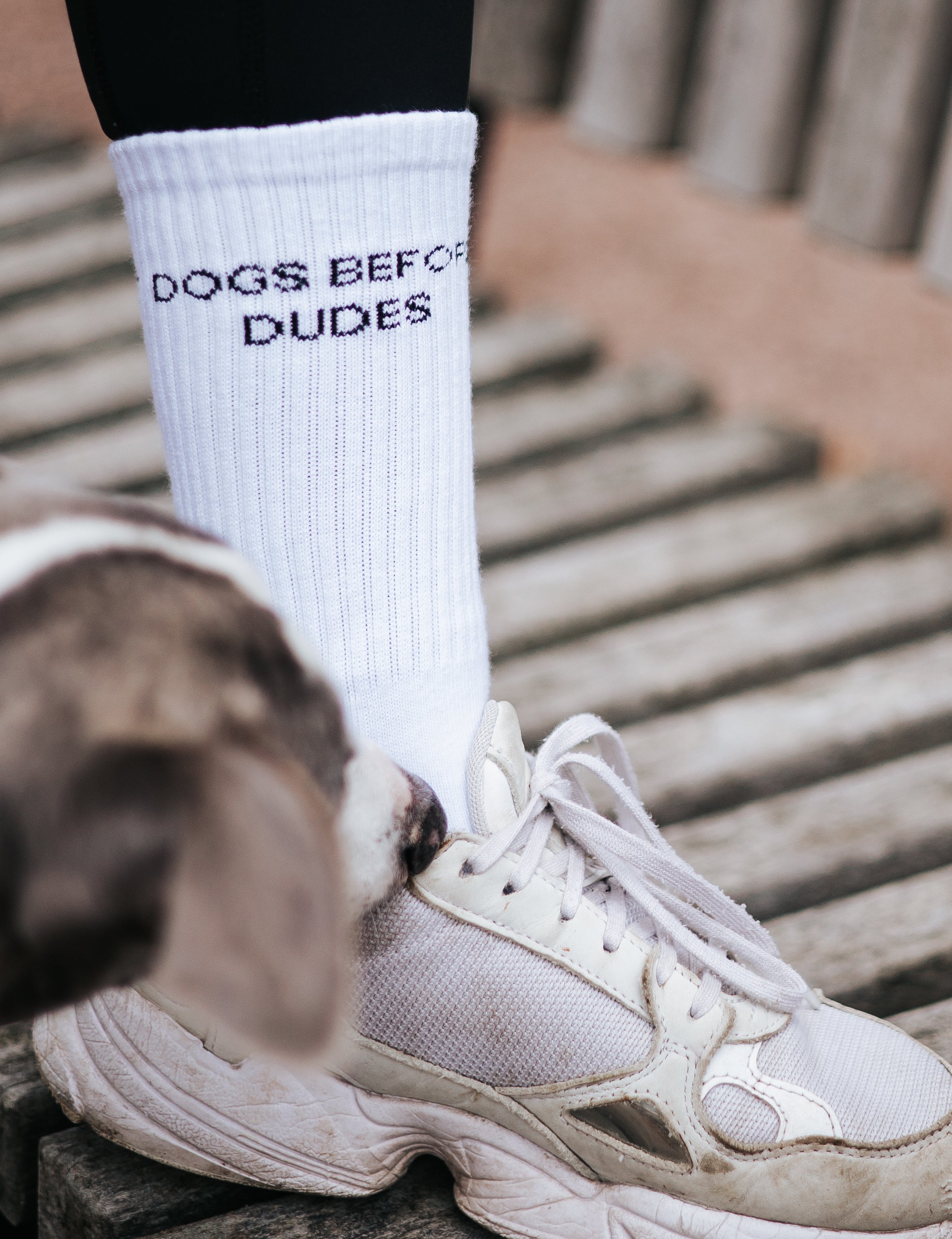 Calzini bianchi a tubo - Dogs Before Dudes