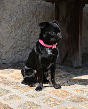Collare per Cane Sottile Rosa Lucido