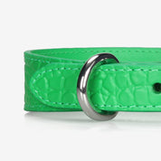 Collare per Cani Sottile Pure Green Croco