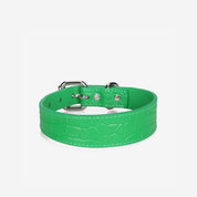 Collare per Cani Sottile Pure Green Croco