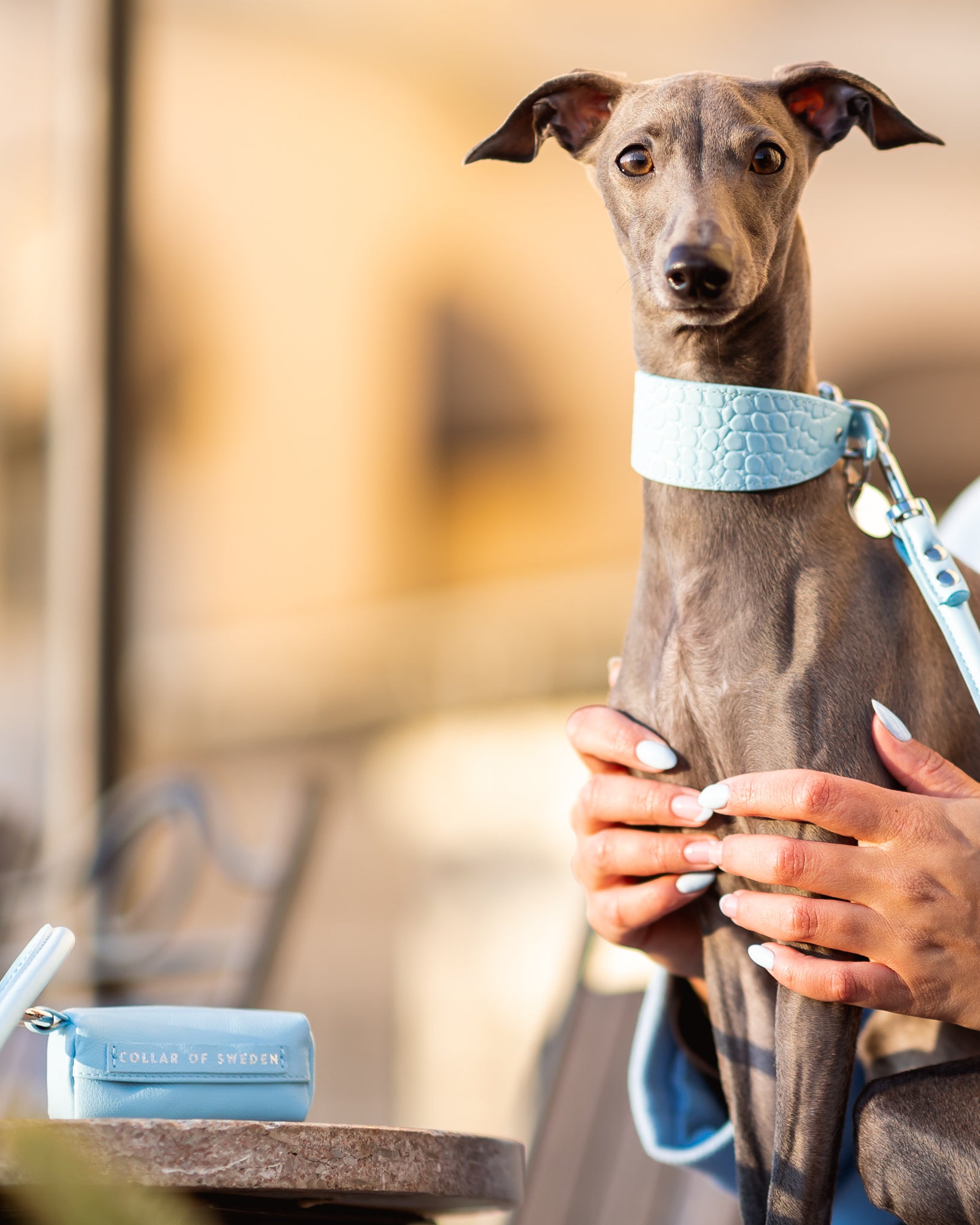 Portasacchetti per Escrementi Baby Blue