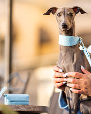 Portasacchetti per Escrementi Baby Blue