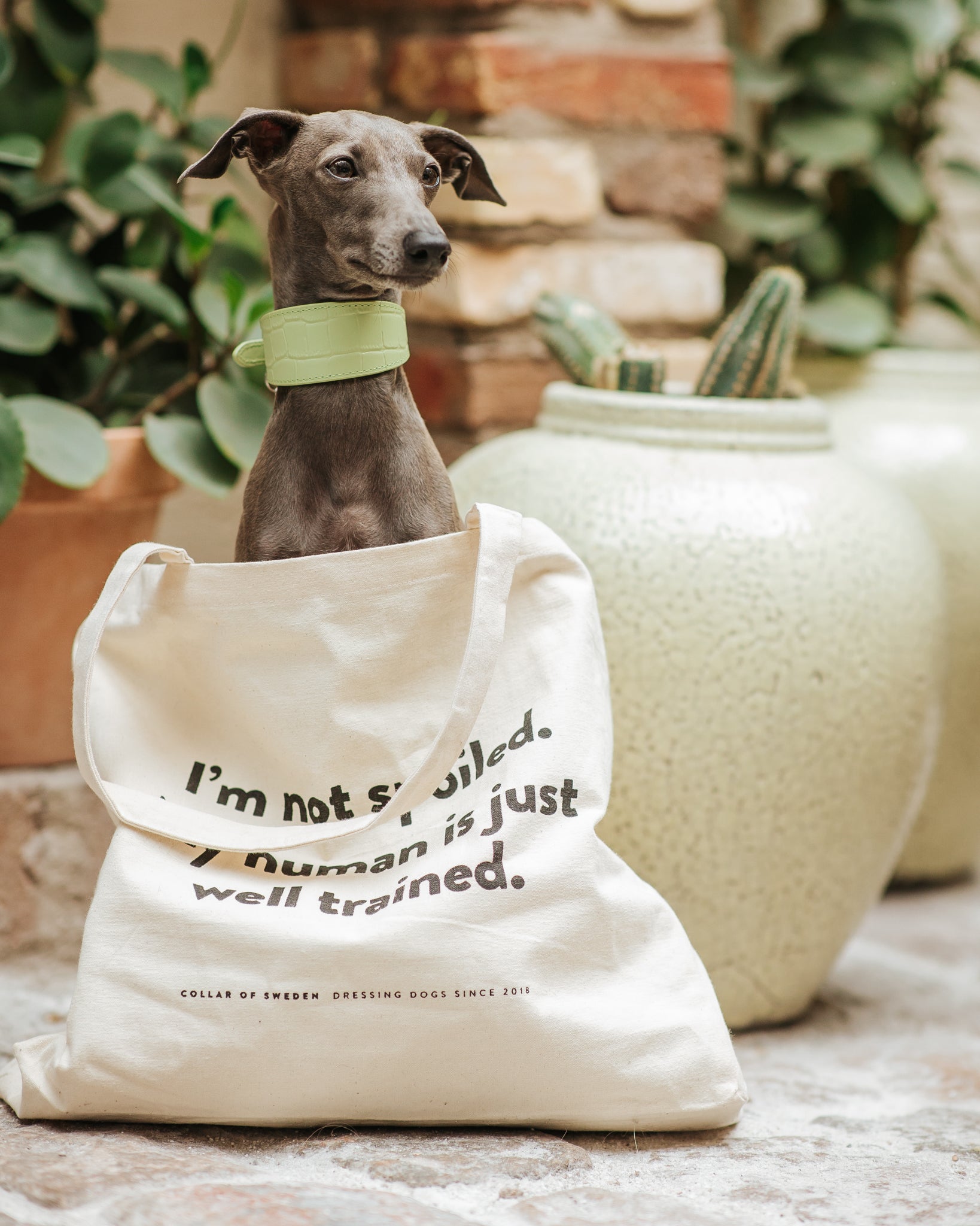 Borsa Tote di CoS