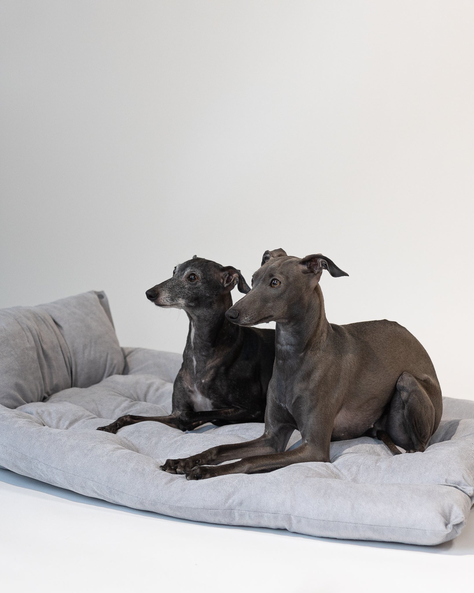 Letto per Cani Grigio 3in1