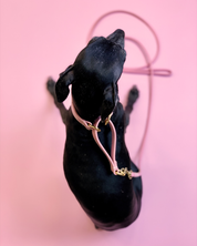 Martingala Larga per Cani Rosa