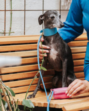 Guinzaglio per Cane Blu Neon