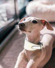 Collare Riflettente Largo Argento per Cani
