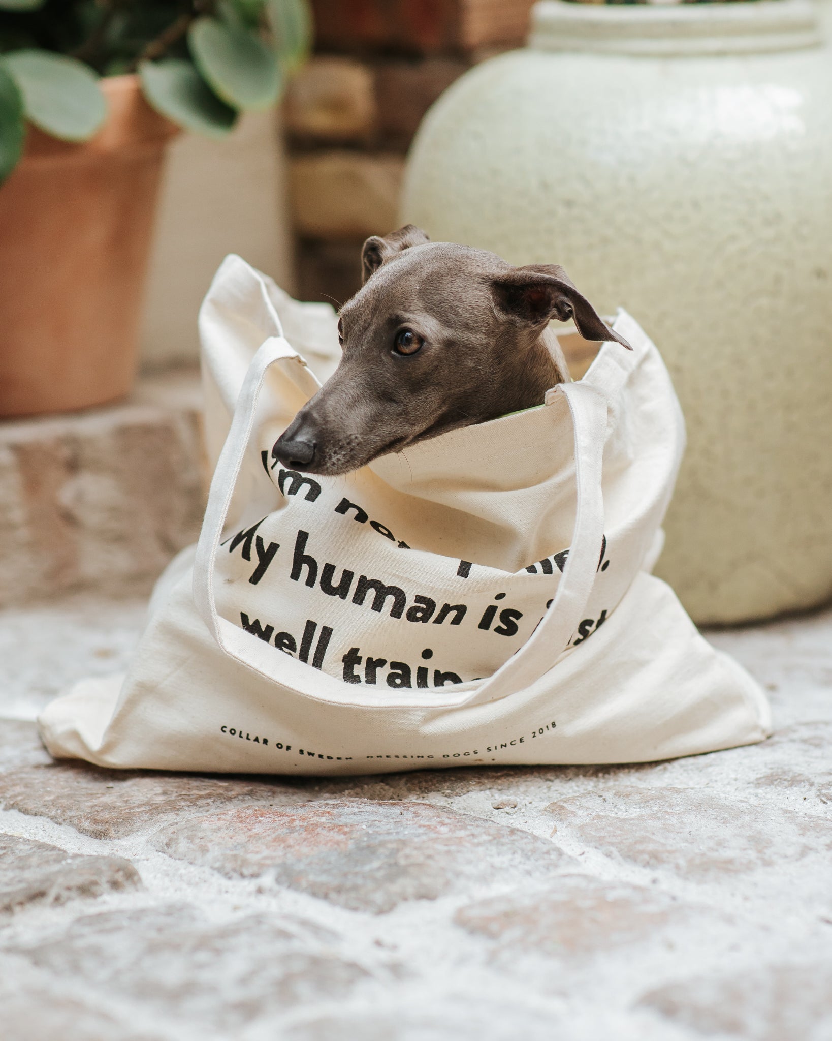 Borsa Tote di CoS
