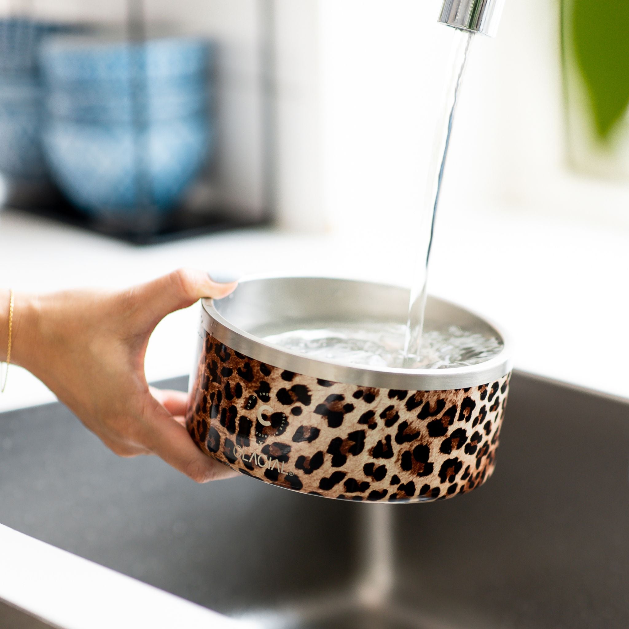leopard-dog-bowl-water.jpg