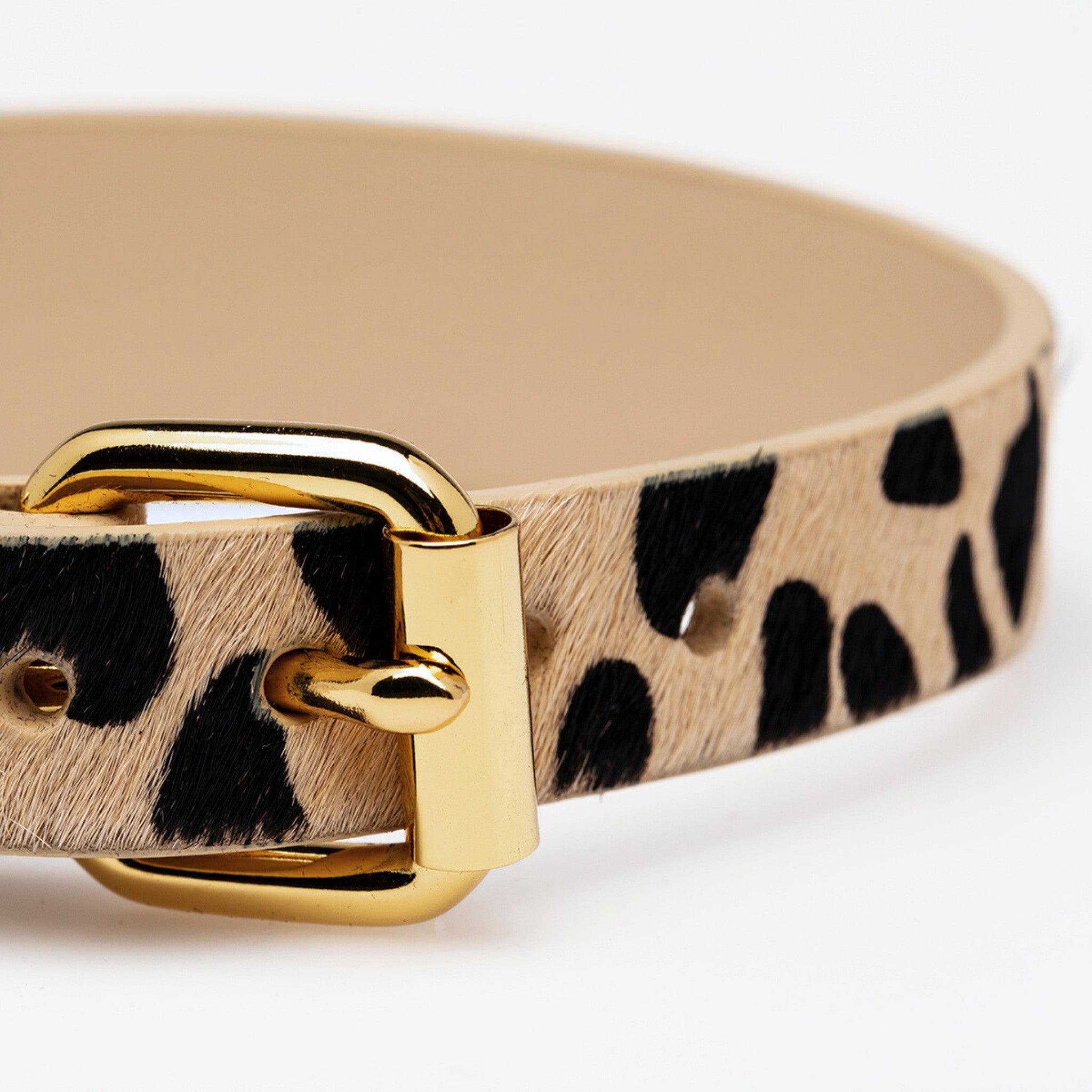 Collare per Cani Leopardato Largo