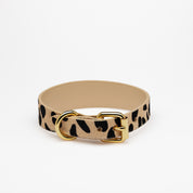 Collare Leopardo Sottile per Cani