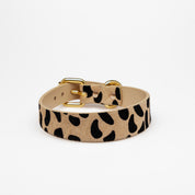 Collare Leopardo Sottile per Cani