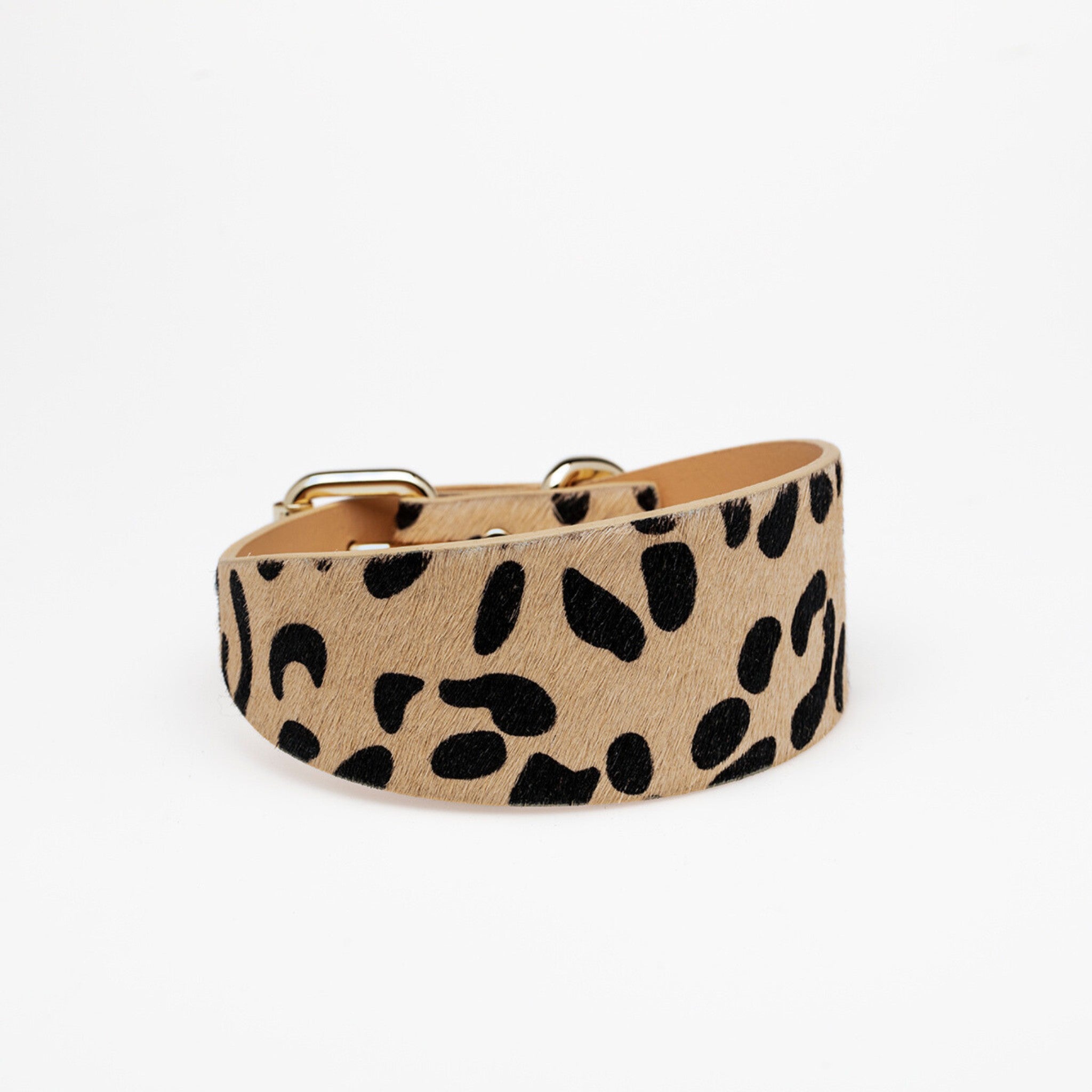 Collare per Cani Leopardato Largo