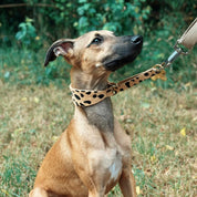 Collare Martingale Largo con Motivo Leopardo