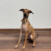 Collare per Cani Leopardato Largo