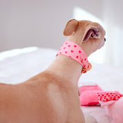 Collare per cani Love Wide