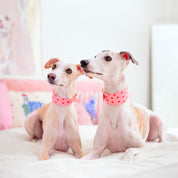 Collare per cani Love Wide