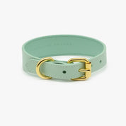 Collare per Cani Sottile Verde Menta
