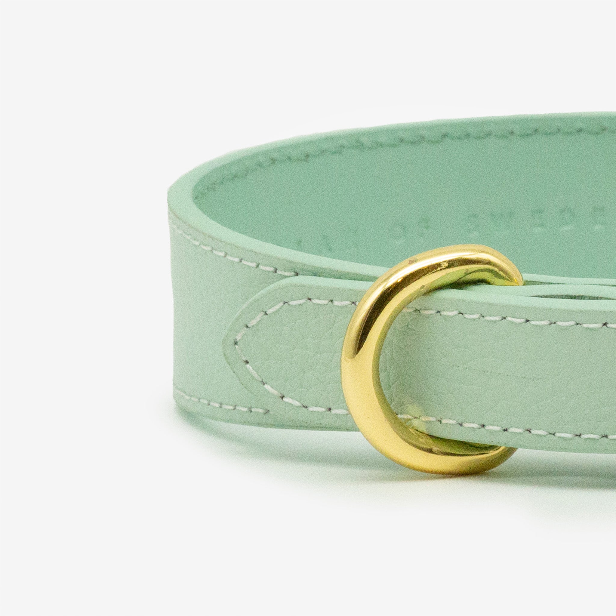 Collare per Cani Sottile Verde Menta