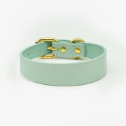 Collare per Cani Sottile Verde Menta
