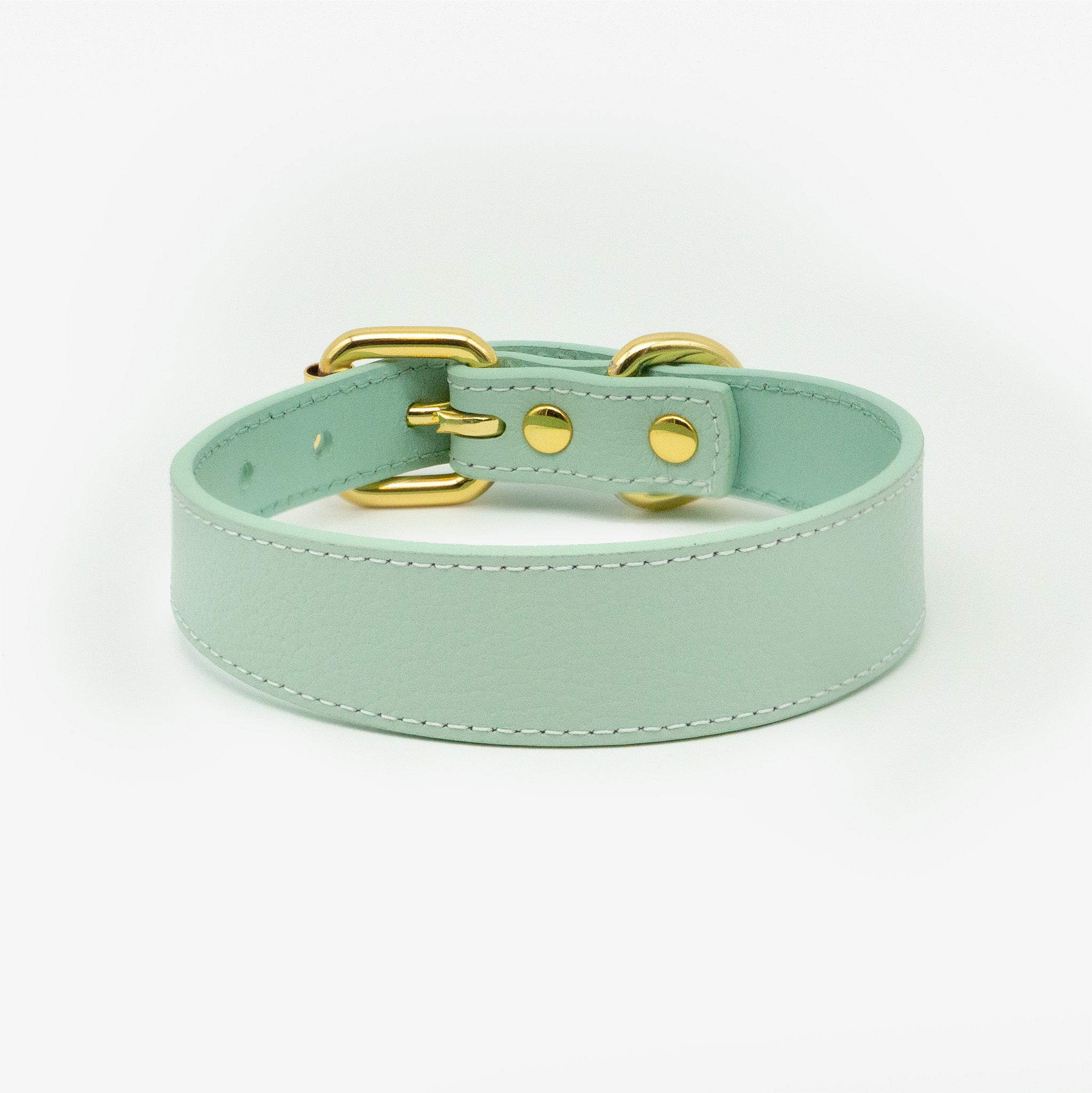 Collare per Cani Sottile Verde Menta